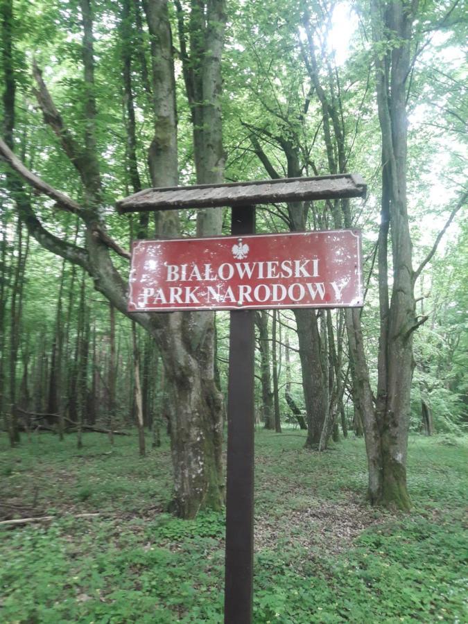 In Nature * Bialowieza