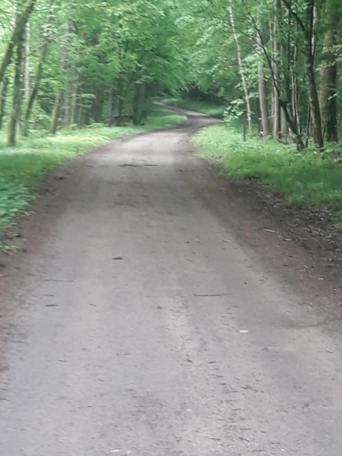 In Nature Holiday home Bialowieza